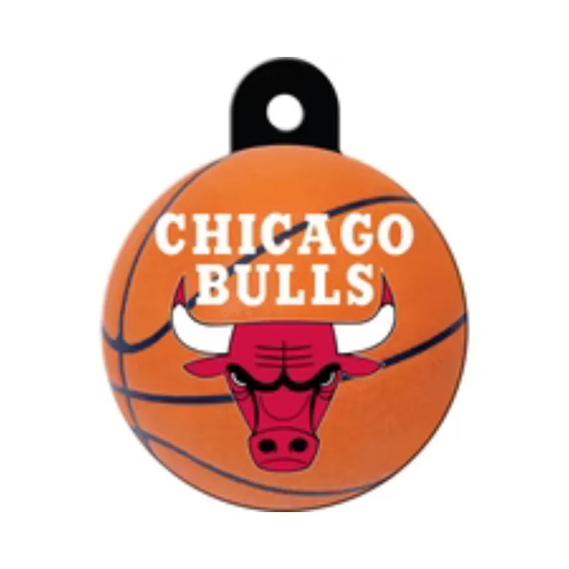 Chicago Bulls - Large Circle